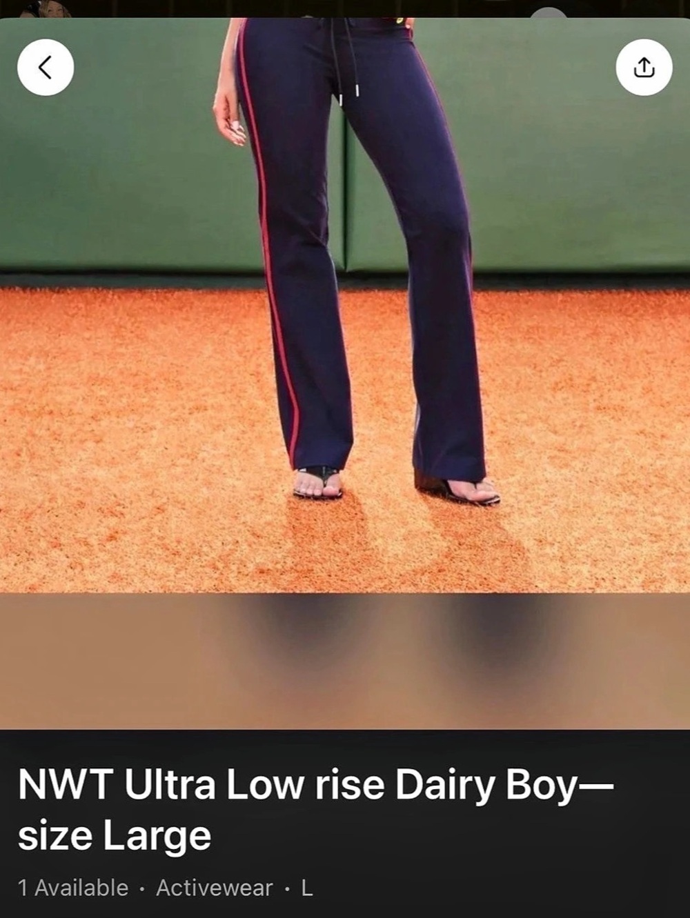 Dairy Boy The Ultra Low Rise Pant Track Pants Purple & Red Large NWT